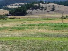 Horse Boarding Available October 15th, 2026 - Photo 2