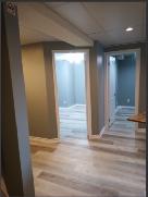 Whole Basement near Humber College - Photo 2