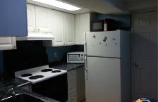 Whole Basement near Humber College - Photo 7