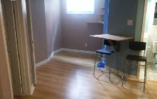 Whole Basement near Humber College - Photo 8