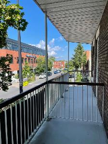 Modern 4 1/2 Apt. with 2 bedrooms (rue Allard) - Photo 2
