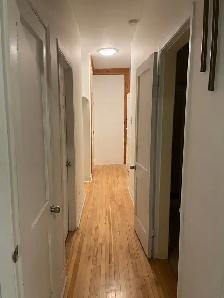 Modern 4 1/2 Apt. with 2 bedrooms (rue Allard) - Photo 3