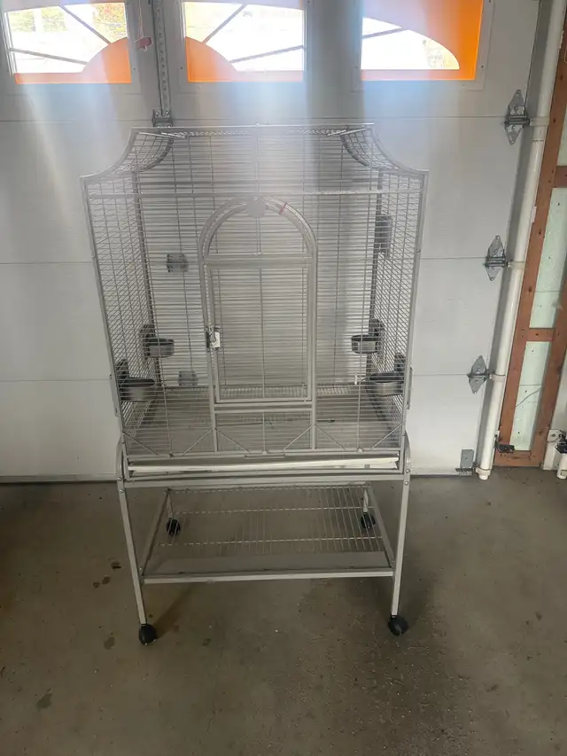 cage oiseau