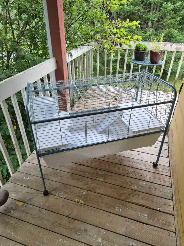 Cage a lapin
