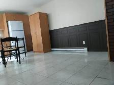 Bachelor Basement Apartment for rent in Brossard - $1,000 - Photo 3