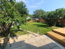 We are looking for new family for well maintained house. - Photo 3