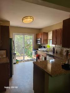 We are looking for new family for well maintained house. - Photo 4