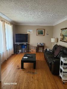 We are looking for new family for well maintained house. - Photo 7