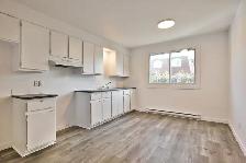 Beau 4½ – Brodeur, Longueuil – 1 425 $/mois – Décembre - Photo 3