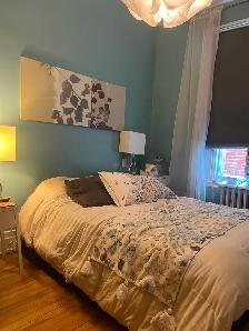 Appart 5 1/2 à louer Rosemont-Petite-Patrie - Photo 7