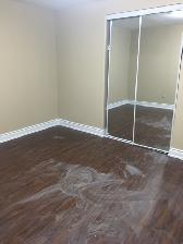 LEGAL 2 BEDROOM BASEMENT APARTMENT - Photo 5