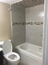 LEGAL 2 BEDROOM BASEMENT APARTMENT - Photo 7