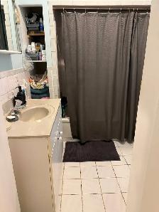 Apartment for Rent at Dundas & Gladstone - Photo 4