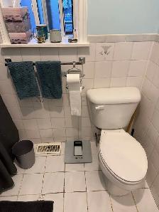 Apartment for Rent at Dundas & Gladstone - Photo 6