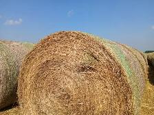 Hay for Sale