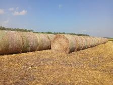 Hay for Sale - Photo 2