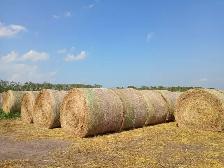 Hay for Sale - Photo 3