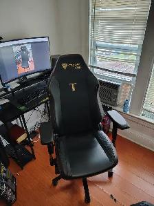 Selling Secret Labs Titan Evo Chair - Photo 3