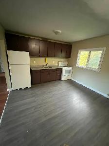 Two Bedroom Apartment-Belleville - Photo 9