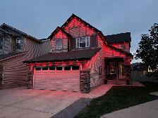 Permanent Lighting - Photo 3