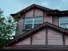 Permanent Lighting - Photo 6