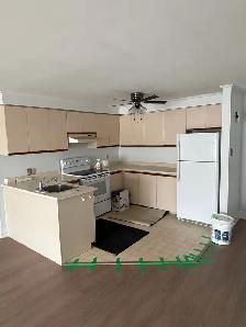 BEAUTIFUL two bedroom apartment for rent in Downtown Newmarket - Photo 7