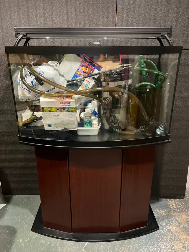 46 GALLON BOW FRONT FISH TANK FOR SALE.