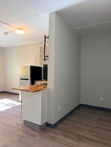 HUNTSVIL – 1 BED  $1500 - SENIOR DISC AVAIL   AC - Photo 3