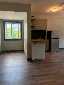 HUNTSVIL – 1 BED  $1500 - SENIOR DISC AVAIL   AC - Photo 5
