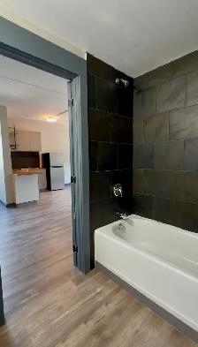 HUNTSVIL – 1 BED  $1500 - SENIOR DISC AVAIL   AC - Photo 7