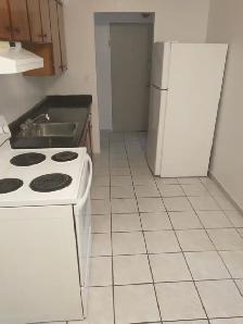 Large 1 Bedroom Apt. Downtown. All incl. utils. $1250 - Photo 3