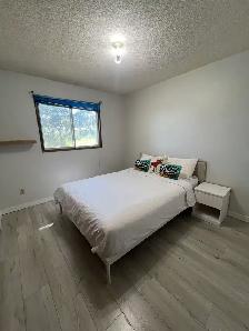 Roommfor rent