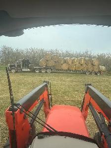 round hay bales