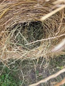 round hay bales - Photo 2