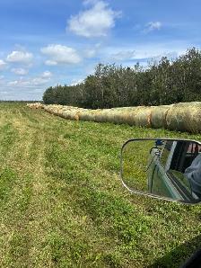 round hay bales - Photo 4