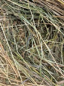round hay bales - Photo 5