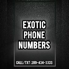 Exotic Phone Numbers Memorable Vip Phone Numbers