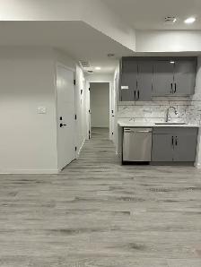 Spacious Modern 900 Sq. Ft. 1 Bedroom Basement Suite – Keswick - Photo 2
