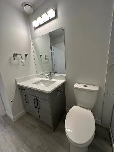 Spacious Modern 900 Sq. Ft. 1 Bedroom Basement Suite – Keswick - Photo 4