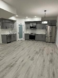Spacious Modern 900 Sq. Ft. 1 Bedroom Basement Suite – Keswick - Photo 23