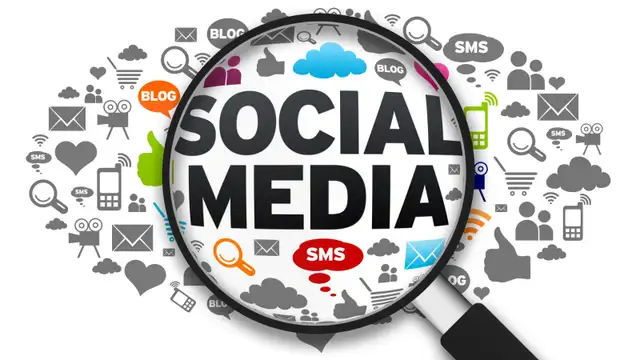 Meta Ads and Social Media Management