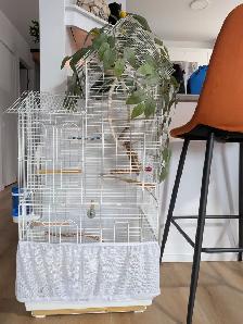 Oiseaux et cage - Photo 2