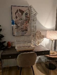 Oiseaux et cage - Photo 3