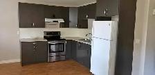 Large 3 Bedroom Legal Basement for Rent in Saddleridge