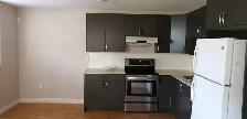 Large 3 Bedroom Legal Basement for Rent in Saddleridge - Photo 2