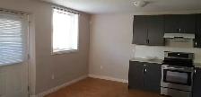 Large 3 Bedroom Legal Basement for Rent in Saddleridge - Photo 3