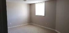 Large 3 Bedroom Legal Basement for Rent in Saddleridge - Photo 4