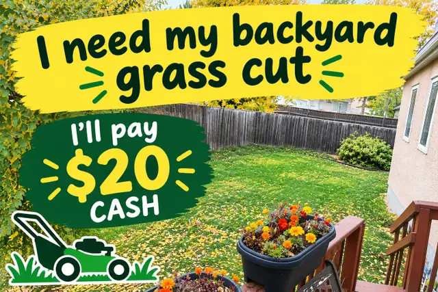 I need by backyard grass cut. u get $20