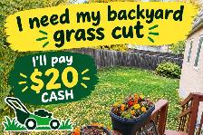 I need by backyard grass cut. u get $20