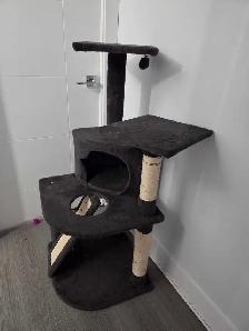 2 Kittens with everything you need - Photo 9
